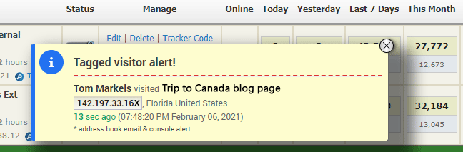 Console alerts notify you when tagged visitors access your website(s)