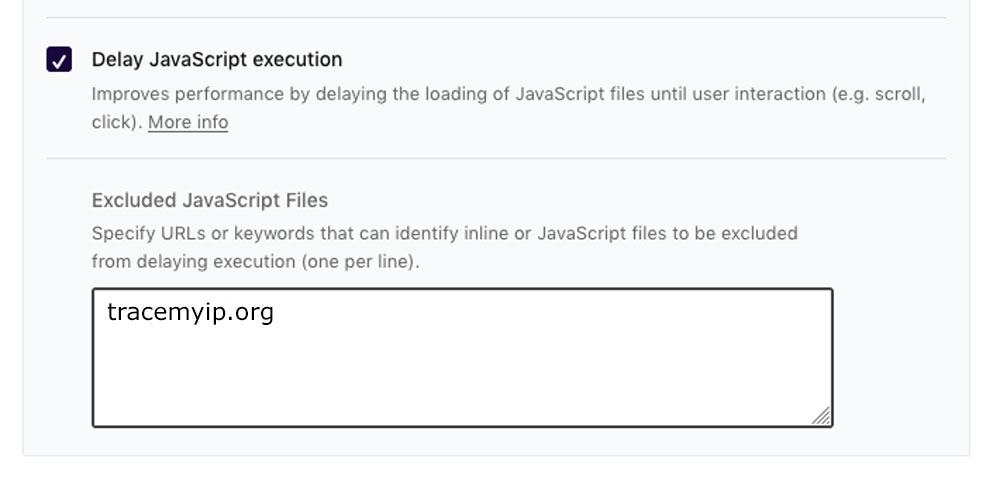 wp-rocket-file-optimization-delay-excluded-javascript