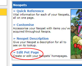 neopets_counter_edit_pet_page
