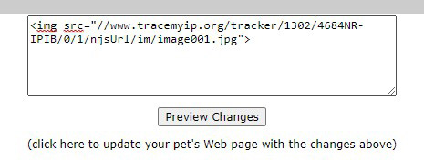 neopets_install_tracker_code