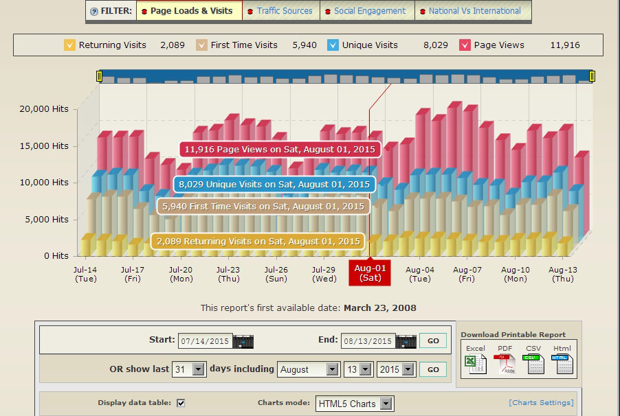 website analytics daily hits