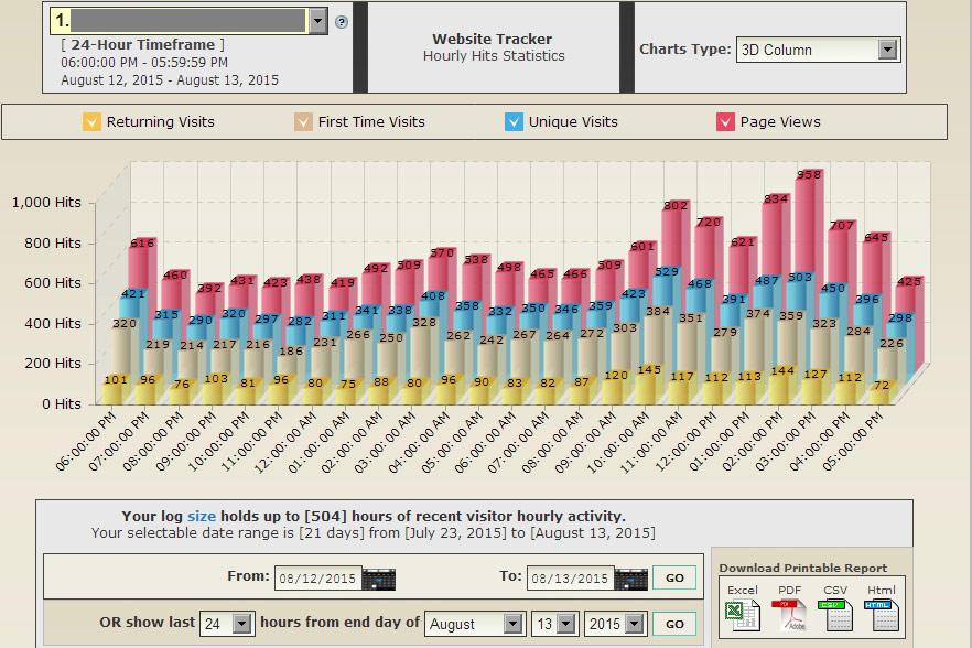 website analytics hourly hits